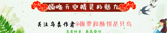 一文带你了解毒王：蝙蝠！这是一种自然界中Bug一般的存在