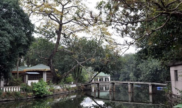 直击：《破冰行动》“塔寨村”的主要取景地，就在中山这座古村落