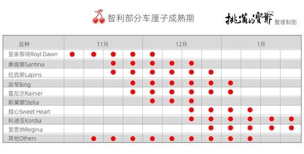 为什么中国叫樱桃，国外叫车厘子。樱桃和车厘子有什么不同