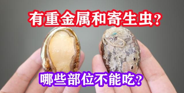 鲍鱼壳含有重金属和寄生虫，还能不能和肉一起煲汤？科学讲解