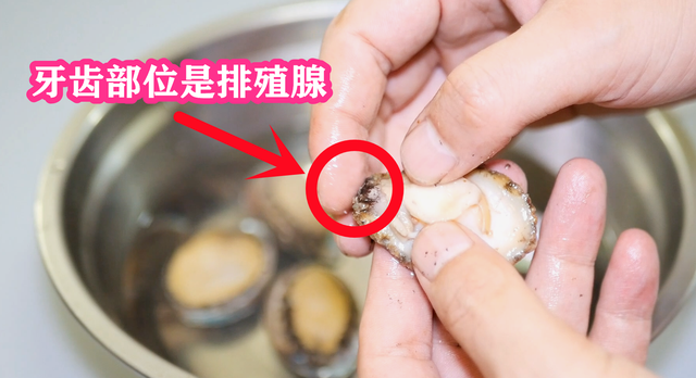 鲍鱼壳含有重金属和寄生虫，还能不能和肉一起煲汤？科学讲解