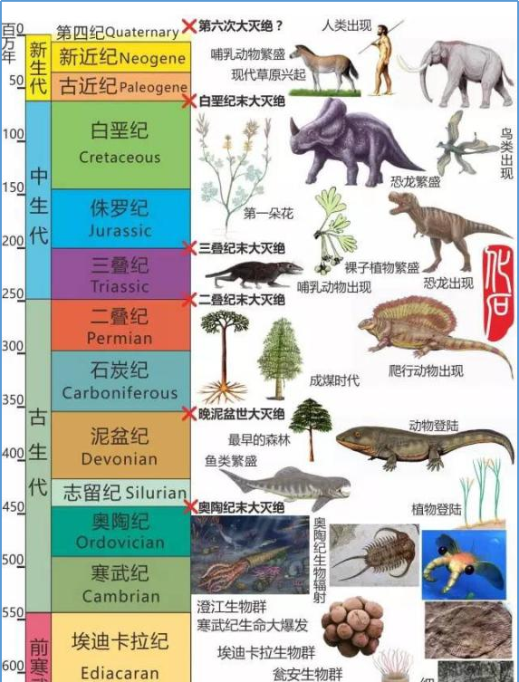 化石竟隐藏着这么多不为人知的“秘密”？