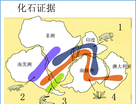 化石竟隐藏着这么多不为人知的“秘密”？