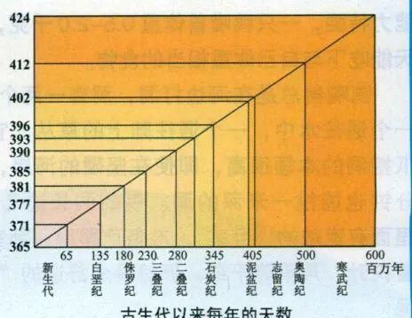 化石竟隐藏着这么多不为人知的“秘密”？