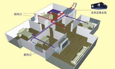 新房怎么去除甲醛最快图13