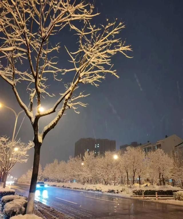 三月的雪——2022年