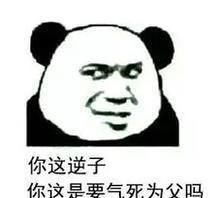 仓鼠真的不能合笼吗图3