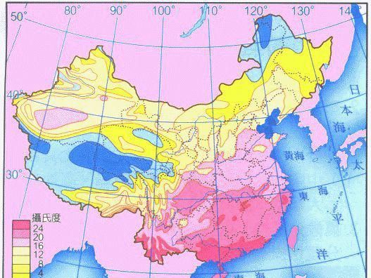 什么是沃柑？爆火之前为什么在国内沉寂了十年？