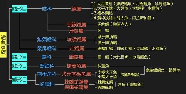 为什么买到的鳕鱼都是假的？这背后，原来是它曾经改变世界的故事