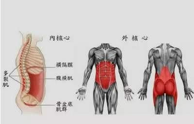 悬垂举腿锻炼什么，悬垂举腿主要锻炼什么部位
图5