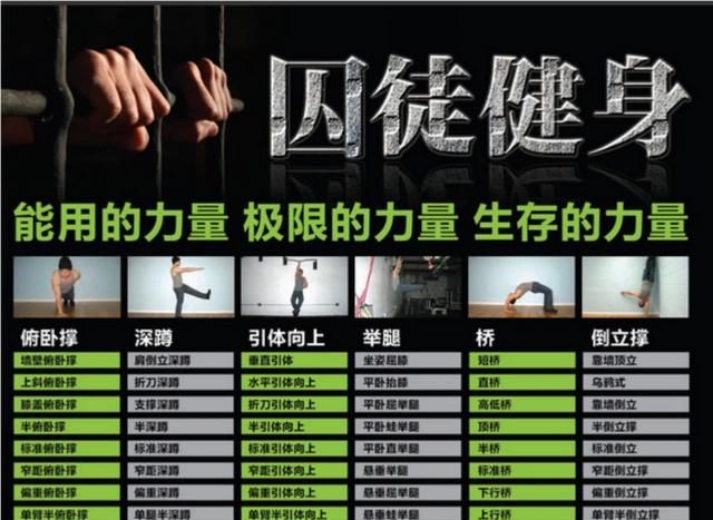 悬垂举腿锻炼什么，悬垂举腿主要锻炼什么部位
图15