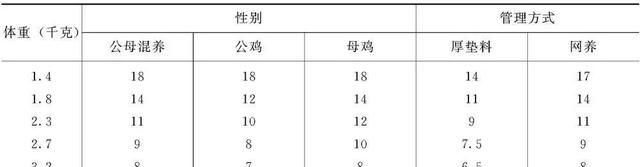 养鸡｜肉用仔鸡的饲养管理