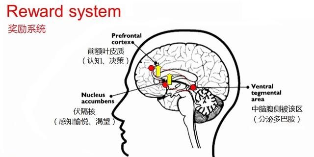 抖音怎么做才能火图7