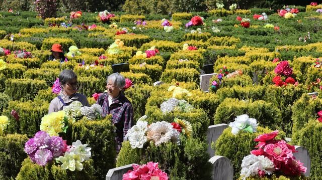 传统节日有哪些故事
，中国传统节日有哪些?图2