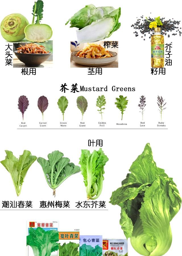 餐桌物种｜那鱼那菜——探索酸菜鱼好吃的秘密