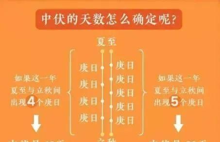 三伏天是怎么确定的？