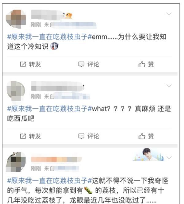 “原来我一直在吃荔枝虫子？”健康专家：不用担心