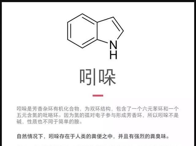 等下，原来你不知道香水可以用粪便做？