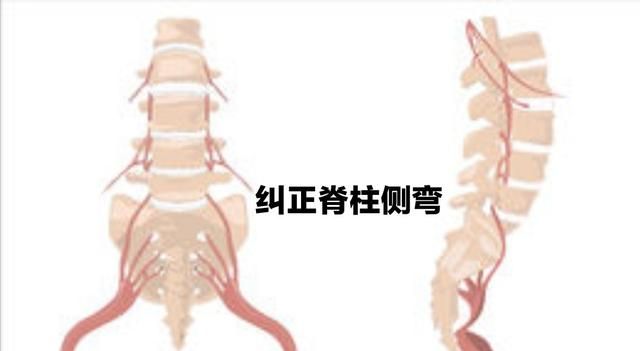 侧抬腿的好处
，睡觉前靠墙抬腿有什么好处图9