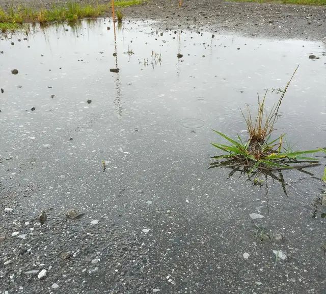 突如其来的大雨，你们带了什么工具？雨中露营，轻松避免意外发生