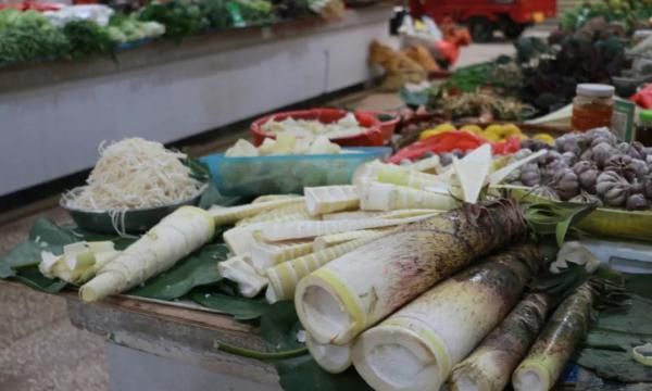 美食｜春天的味道，都在这些野菜里