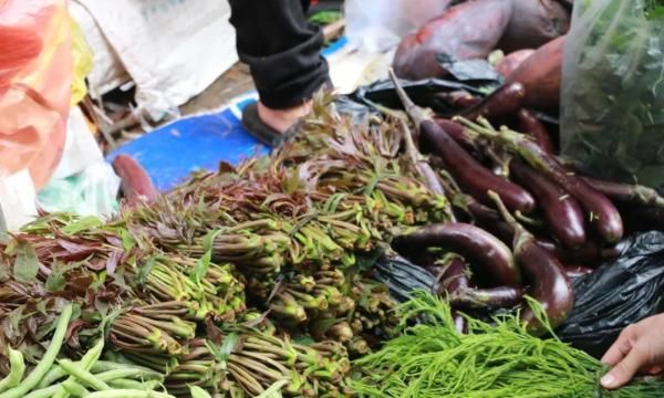 美食｜春天的味道，都在这些野菜里