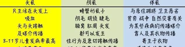 孩子们是如何被头虱盯上的？