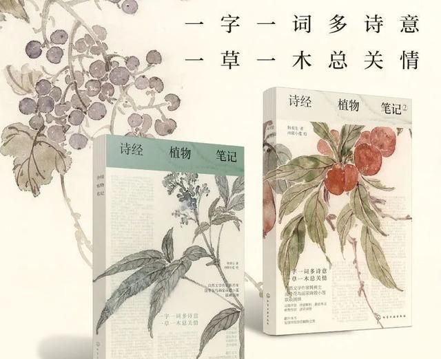 《诗经》里的花草植物有何寓意？孔子：不读《诗经》不知万物有灵