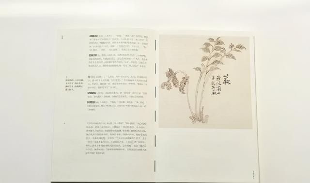 《诗经》里的花草植物有何寓意？孔子：不读《诗经》不知万物有灵