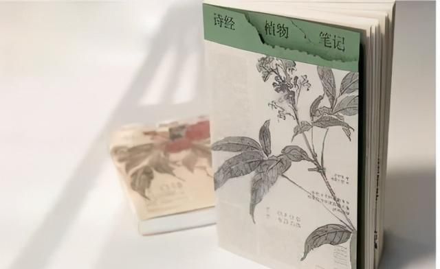 《诗经》里的花草植物有何寓意？孔子：不读《诗经》不知万物有灵