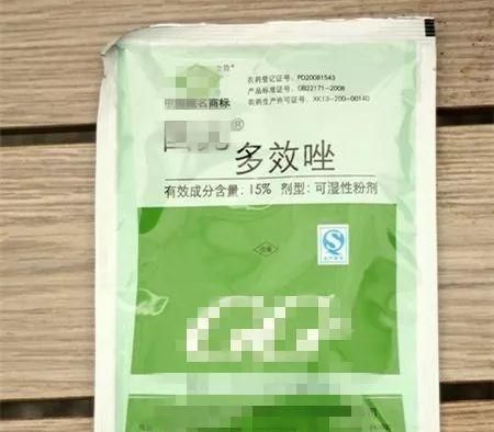 大哥养吊兰，用它兑水一喷，3个月彻底养变异