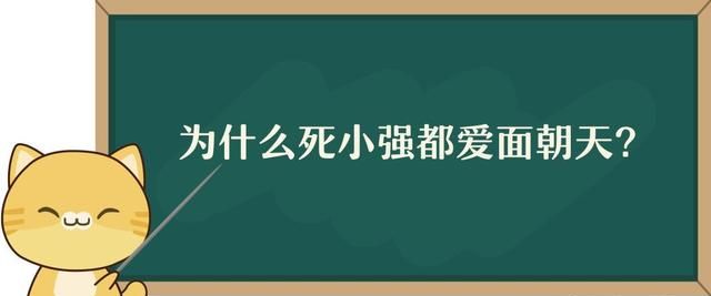 为什么小强将死时，都爱仰面朝天？