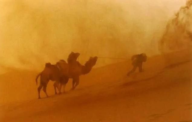 沙漠沙尘暴怎么躲避
，在沙漠中遇到沙尘暴怎么办图4