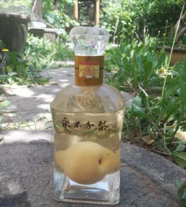 五粮液“永不分梨”酒，瓶内那么大的鸭梨！到底咋进去的？