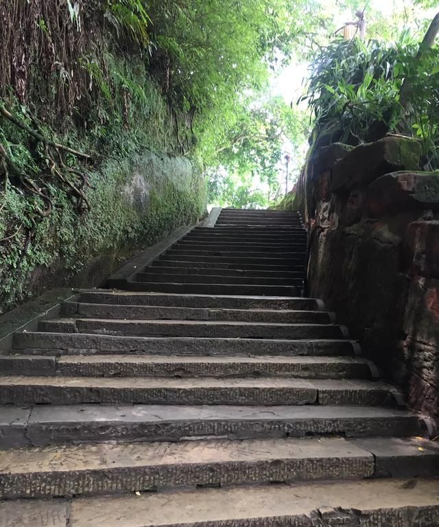 四川乐山大佛，国家5A级景区，里面的景象绝对值回票价