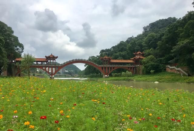 四川乐山大佛，国家5A级景区，里面的景象绝对值回票价