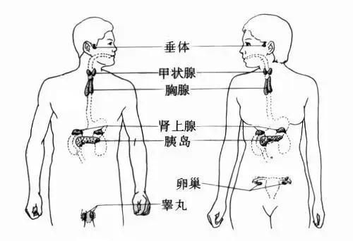 塑化剂是什么东西
图4