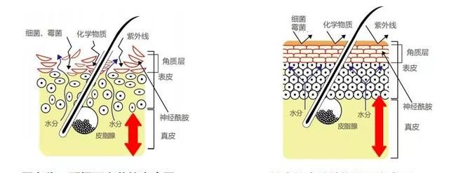 女明星内卷卷到生图上，完美生图真的存在吗？