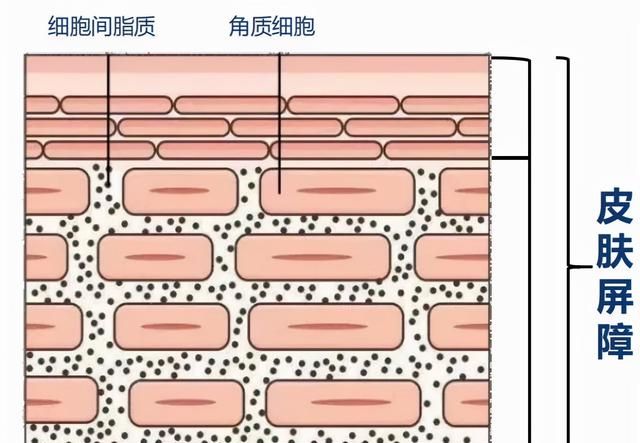 女明星内卷卷到生图上，完美生图真的存在吗？