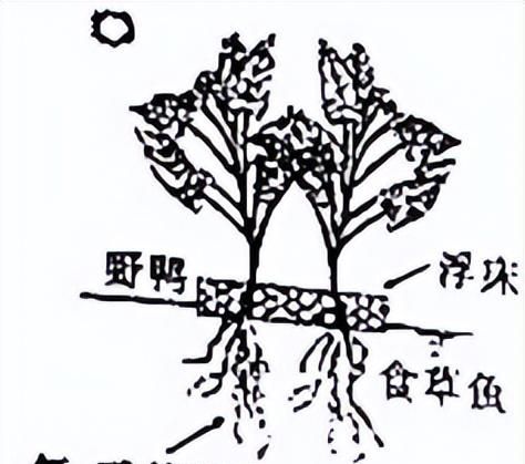 生物综合测试2