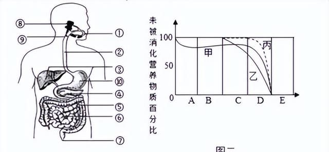 生物综合测试2