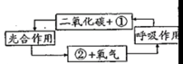 生物综合测试2