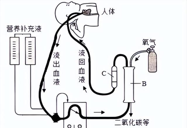 生物综合测试2