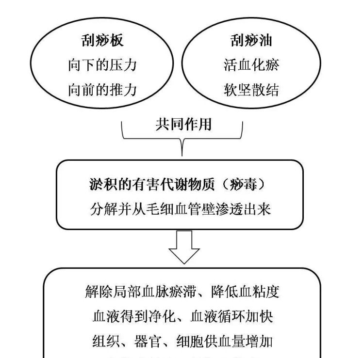 刮痧能减肥吗，刮痧后可以运动吗
图3