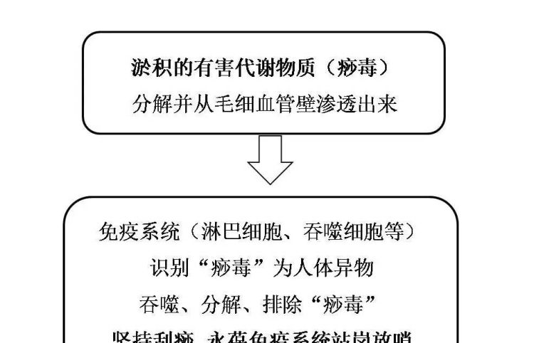 刮痧能减肥吗，刮痧后可以运动吗
图4