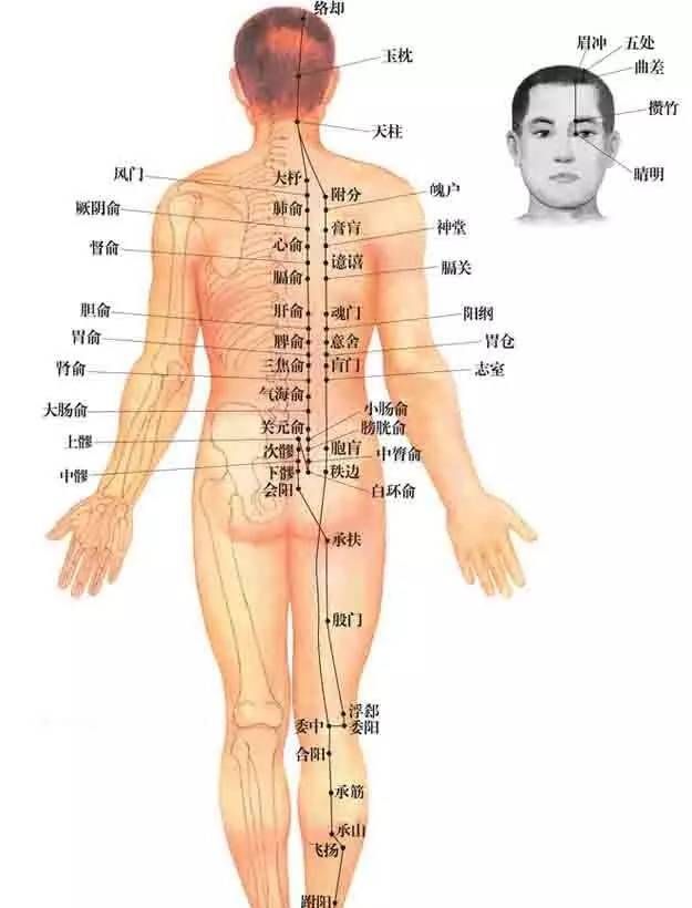 刮痧能减肥吗，刮痧后可以运动吗
图11