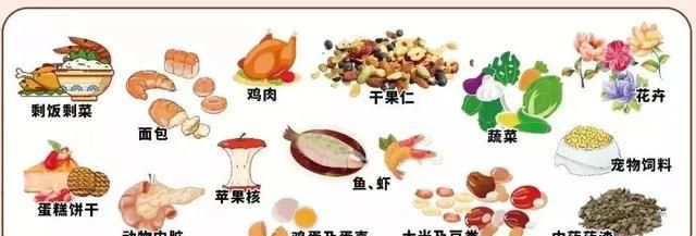 南京终归逃不过“你是什么垃圾？”看艺术类材料垃圾都该如何分类