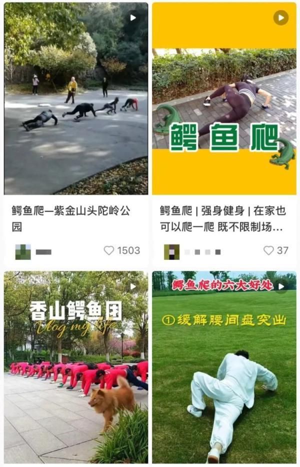 鳄鱼爬、猫爬、毛毛虫爬……“爬行养生”突然爆火！医生紧急提醒