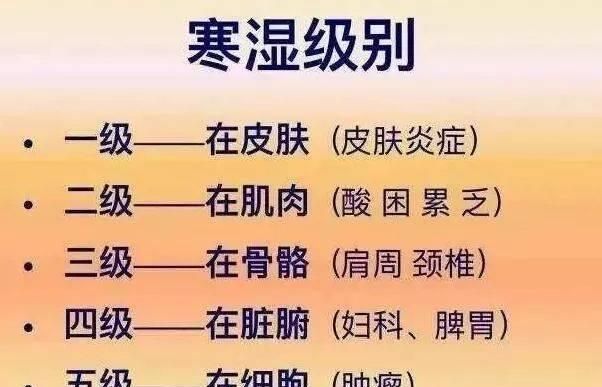 “艾草不离身，医家不登门”！每天坐20分钟，改善寒湿体质