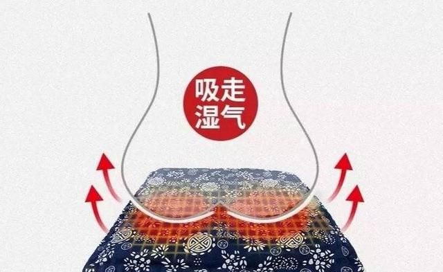 “艾草不离身，医家不登门”！每天坐20分钟，改善寒湿体质